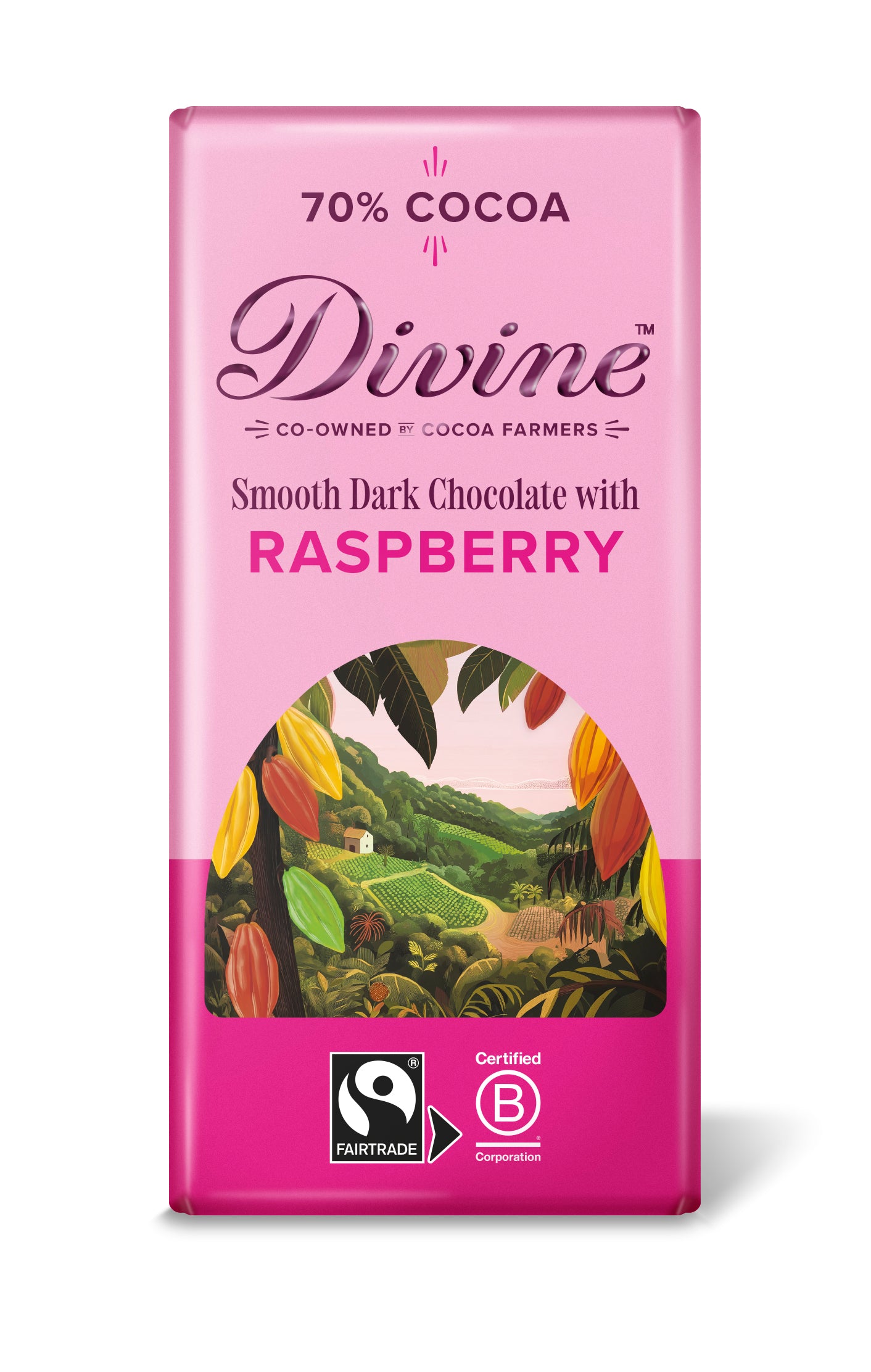 Divine Dark Chocolate 70% with Raspberry, 90g